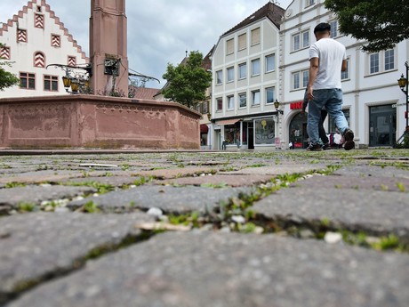 Bad Mergentheim
